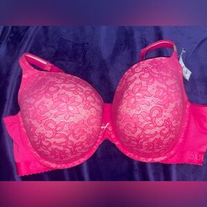 Cacique Hot Pink Floral Lace Bra